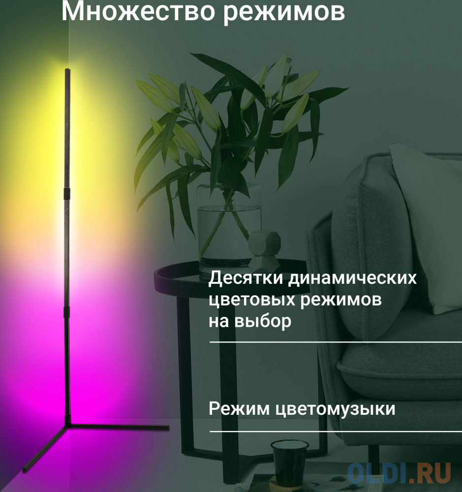 Умный светильник Digma FloorLight FL11 напол. черный (FL11)