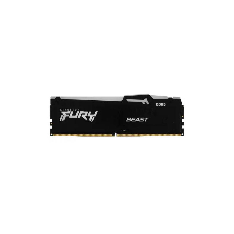 Модуль памяти Kingston Fury Beast Black EXPO RGB DDR5 DIMM 6000MHz PC-48000 CL36 - 16Gb KF560C36BBEA-16 в Москвe