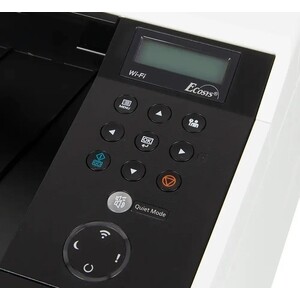 Принтер лазерный Kyocera ECOSYS P2040dw в Москвe