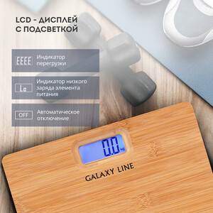 Весы GALAXY LINE GL4820