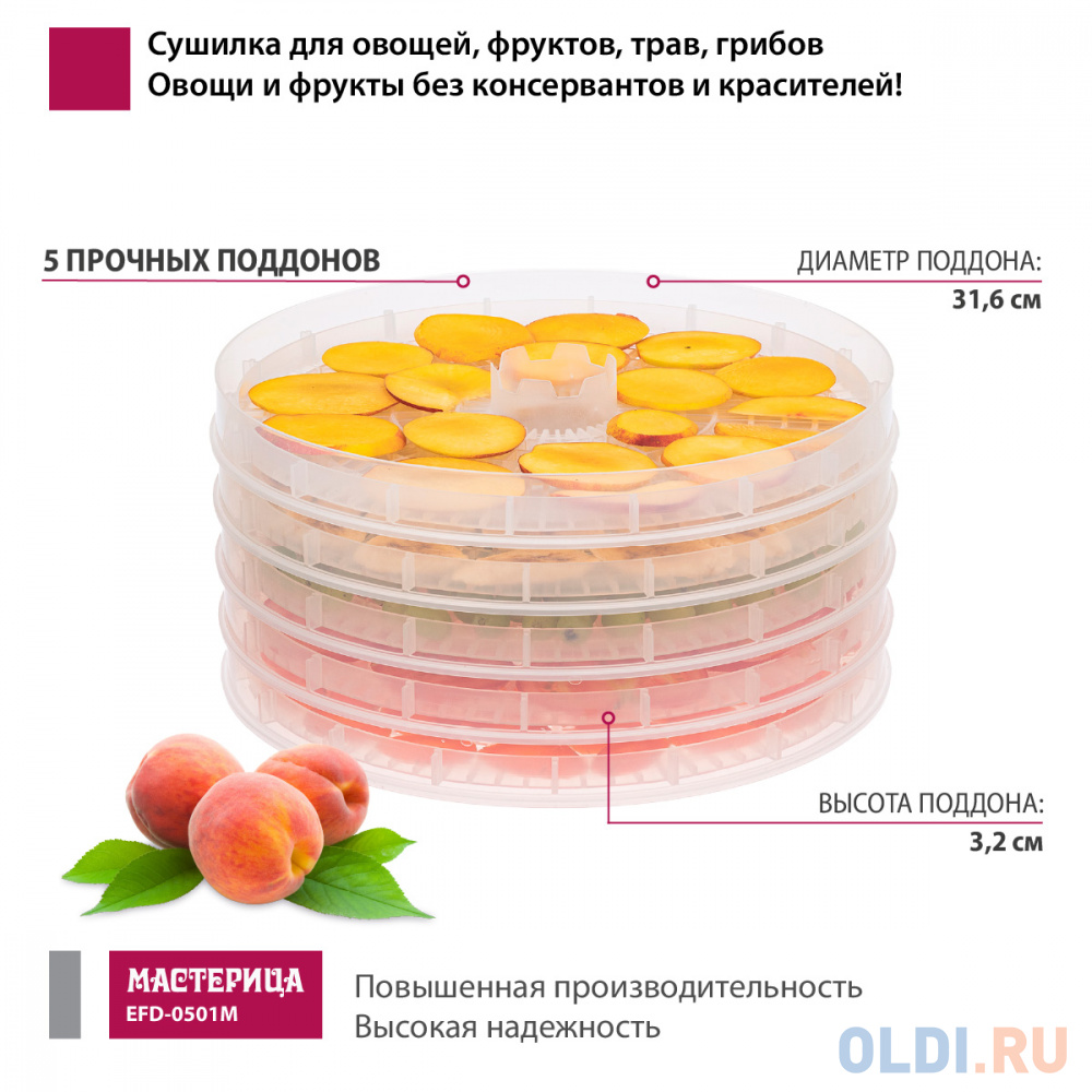 Сушилка для овощей и фруктов Мастерица EFD-0501M белый прозрачный