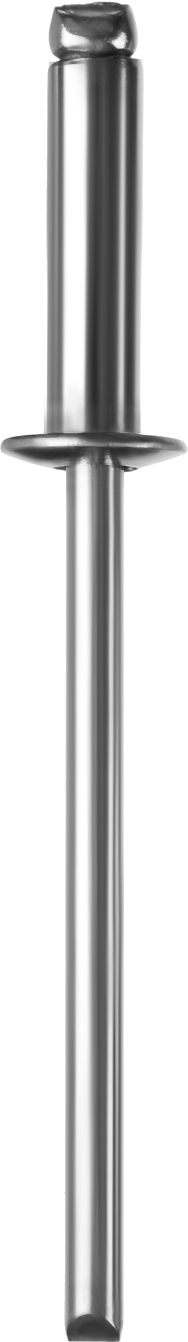 Заклепки вытяжные Зубр Профессионал, ⌀ 4.8 мм длина гильзы 10 мм, нержавеющая сталь, 500 шт. (31316-48-10)