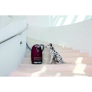 Пылесос Miele Complete C3 Cat&Dog Blackberry Red