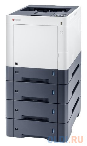 Лазерный принтер Kyocera Mita ECOSYS P6230cdn в Москвe