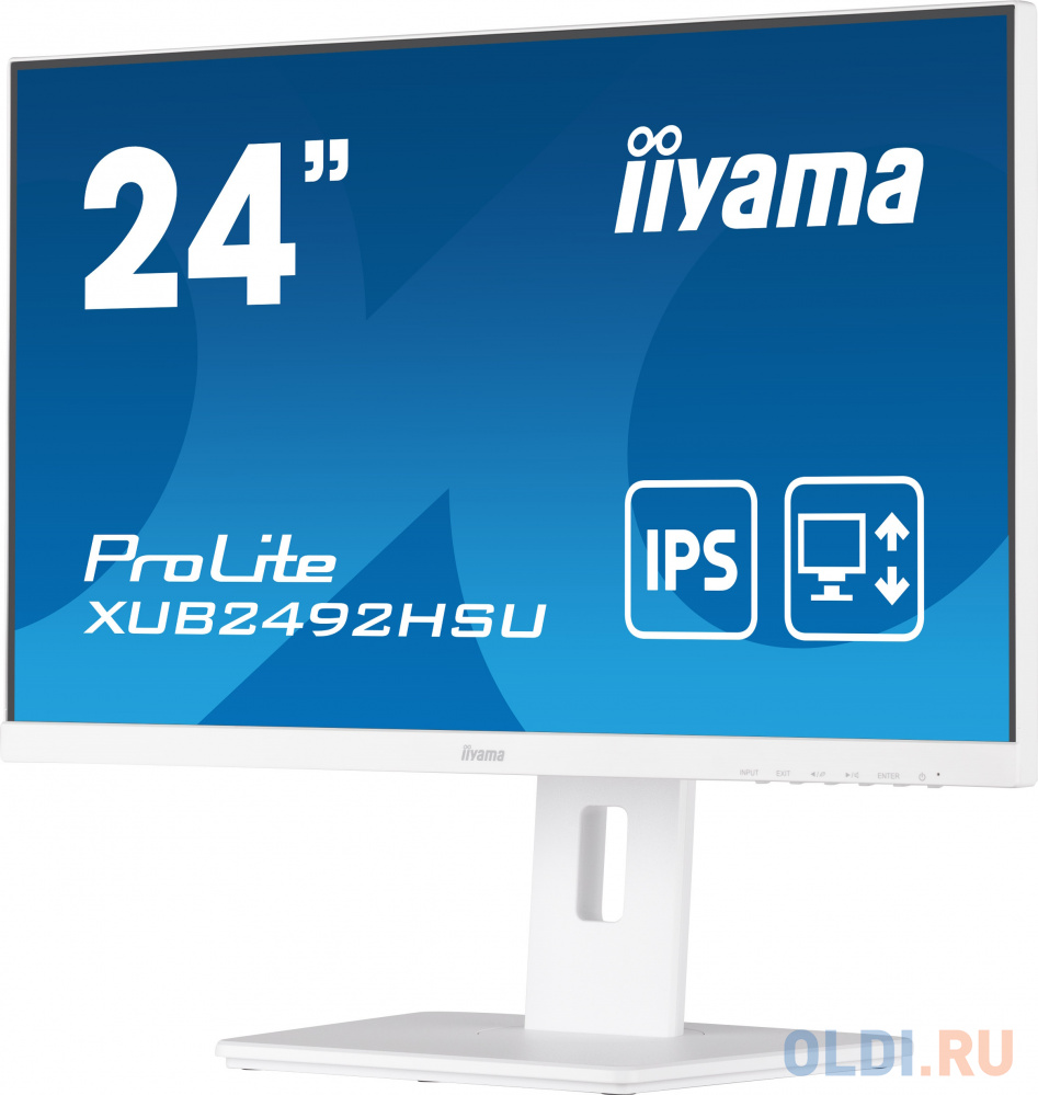 Монитор LCD 23.8'' 16:9 1920х1080(FHD) IPS, nonGLARE, 250cd/m2, H178°/V178°, 1000:1, 5M:1, 16.7M, 4ms, VGA, HDMI, DP, USB-Hub, Height adj, P