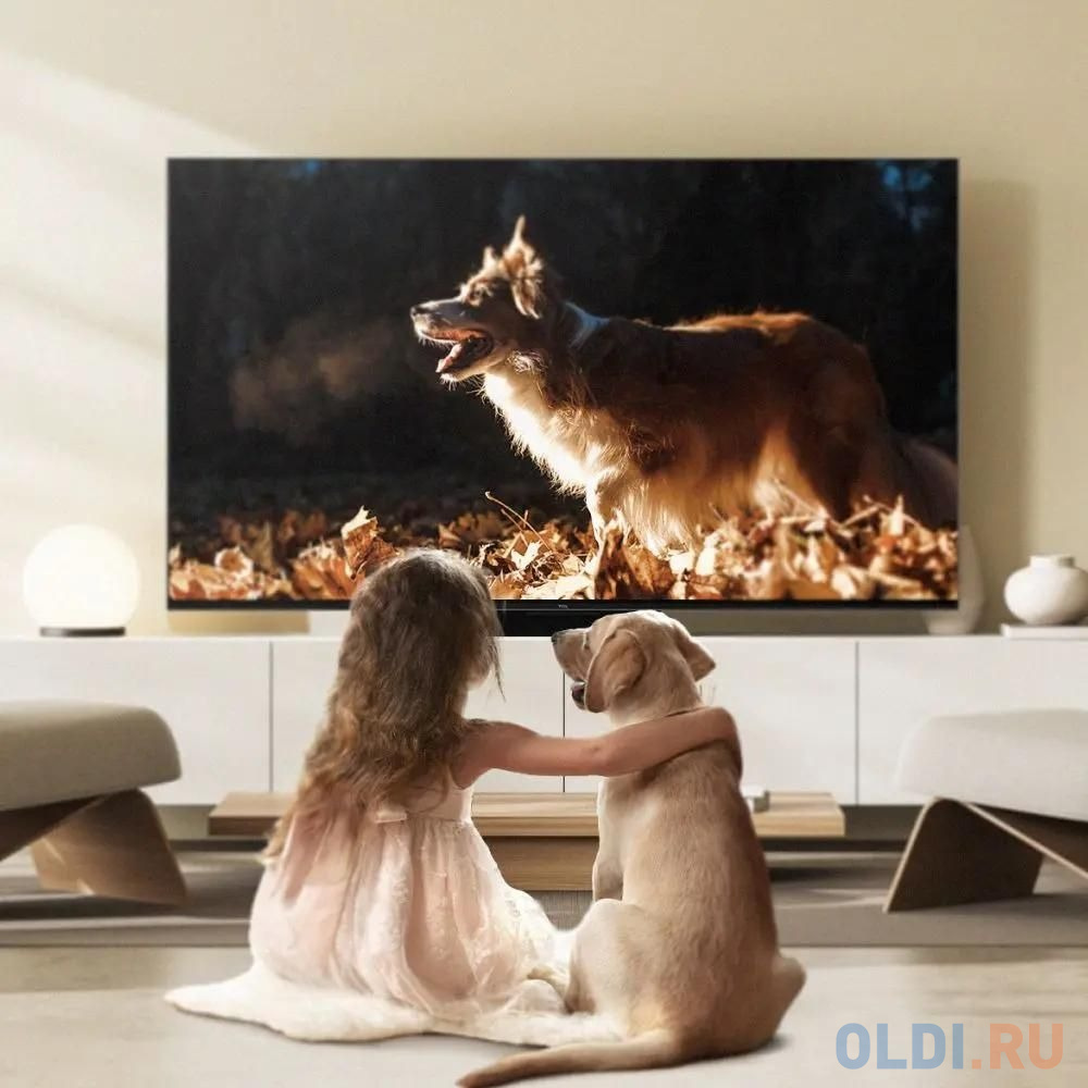 Телевизор QLED TCL 75" 75C855 черный 4K Ultra HD 120Hz DVB-T DVB-T2 DVB-C DVB-S DVB-S2 USB WiFi Smart TV в Москвe