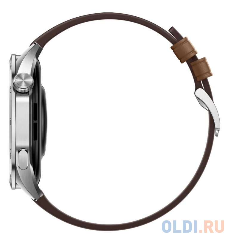 Смарт-часы HUAWEI Watch GT 4 Brown (55020BGX)