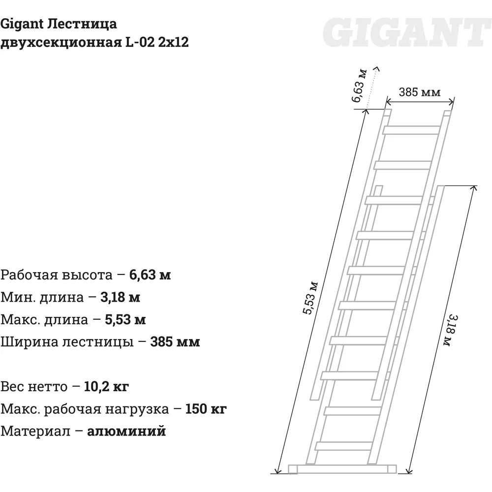 Двухсекционная лестница Gigant