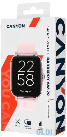 CANYON Smart watch, 1.69inches TFT full touch screen, Zinic+plastic body, IP67 waterproof, multi-sport mode, compatibility with iOS and android, Pink в Москвe