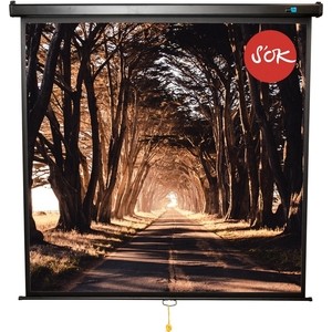 Экран для проектора S'OK 183x183 Wallscreen 1:1 102'' Black (SCPSW-183x183BLCK)