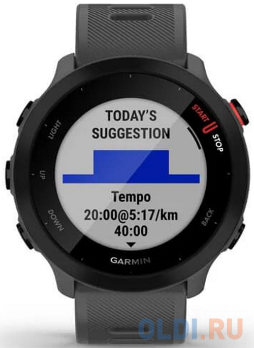 Смарт-часы Garmin Forerunner 55 серый 42мм