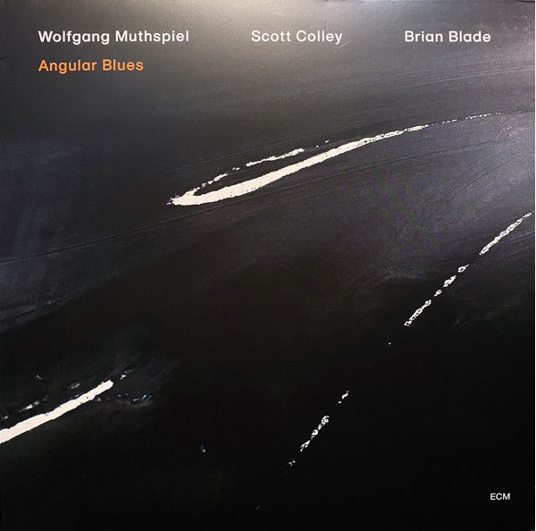 Виниловая пластинка W.Muthspiel W/S.Colley, B.Blade, Angular Blues (0602508485213)