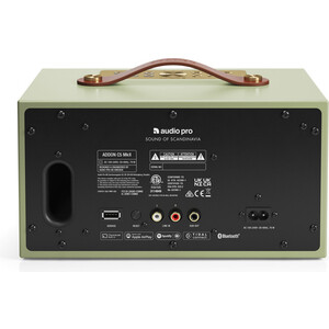 Портативная колонка Audio Pro C5 MkII sage green в Москвe