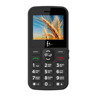 Мобильный телефон Fly Ezzy5C, 2.2" 220x176 TN, MediaTek MT6261D, BT, 1xCam, 2-Sim, 1000 мА·ч, USB Type-C, черный