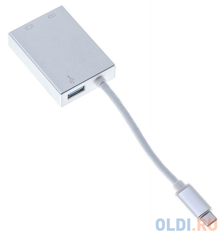 Адаптер Buro BHP USB Type-C (m) USB Type-C (f) miniDisplayPort (f) 0.1м серебристый