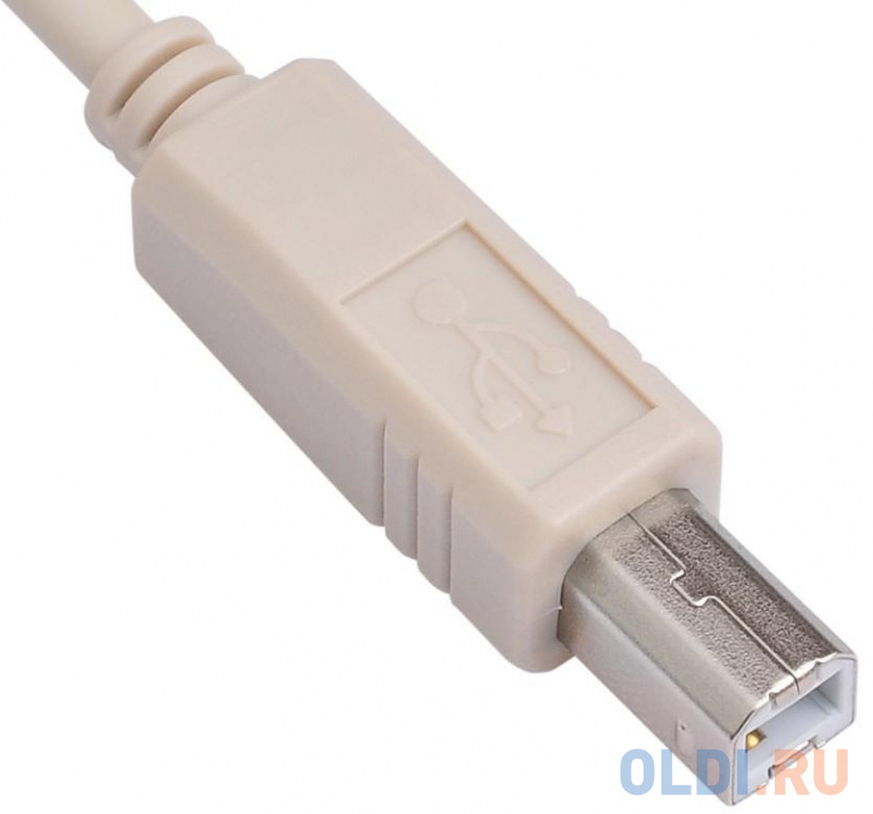 Кабель USB 2.0 AM-BM 3.0м Buro USB2.0-AM/BM-3 в Москвe