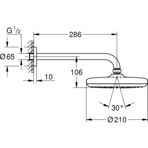 Верхний душ с кронштейном Grohe Tempesta 210 настенный (26412000)