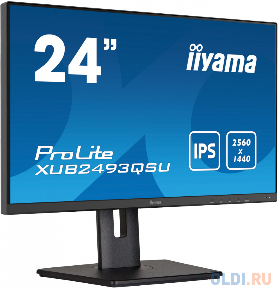 Монитор Iiyama 23.8" ProLite XUB2493QSU-B5 черный IPS LED 16:9 HDMI M/M матовая HAS Piv 300cd 178гр/178гр 2560x1440 60Hz DP 2K USB 5.8кг