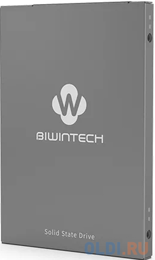 SSD накопитель BiwinTech SX500 256 Gb SATA-III