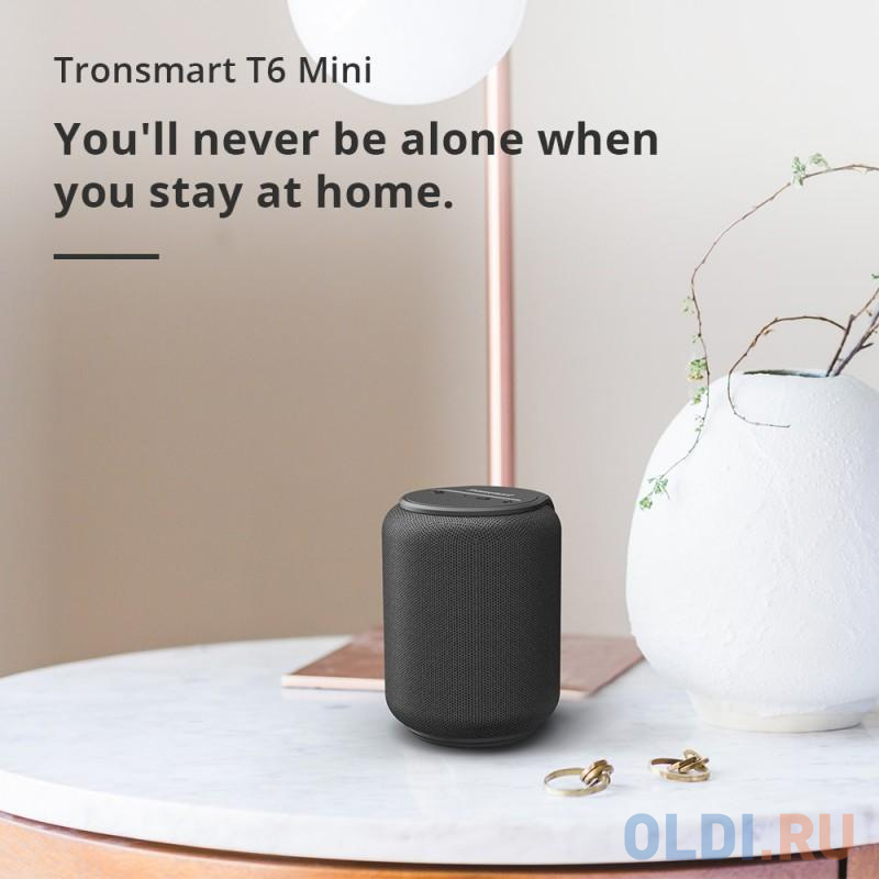 Активная акустическая система Tronsmart T6 mini black