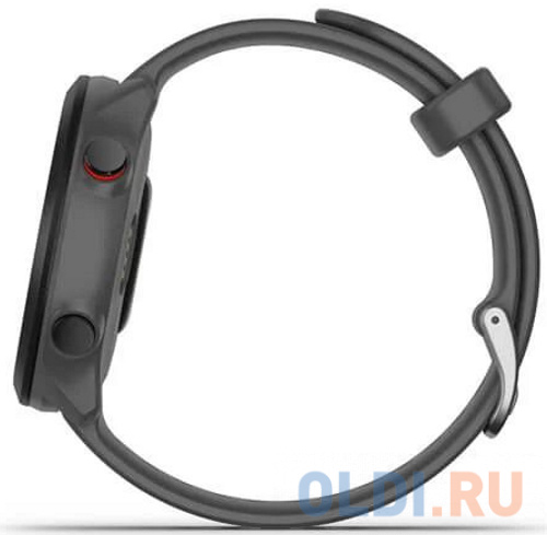 Смарт-часы Garmin Forerunner 55 серый 42мм