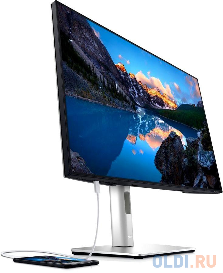 DELL U2421E UltraSharp 24.1" with USB-C hub, IPS, 1920x1200, 5ms, 250cd/m2, 1000:1, Height adjustable, Tilt, Swivel,HDMI, DP, 3xUSB 3.2, USB-C,Bl