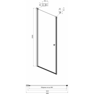 Душевая дверь Ambassador Elysium 100x200 прозрачная, хром (111011111CX)