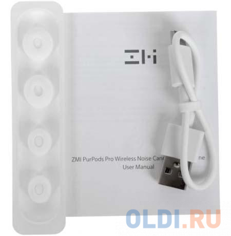 Беспроводные наушники ZMI PurPods Pro Wireless Noise Cancelling Earphone TW100ZM (ZMKTW100GLWH) White (404678) в Москвe