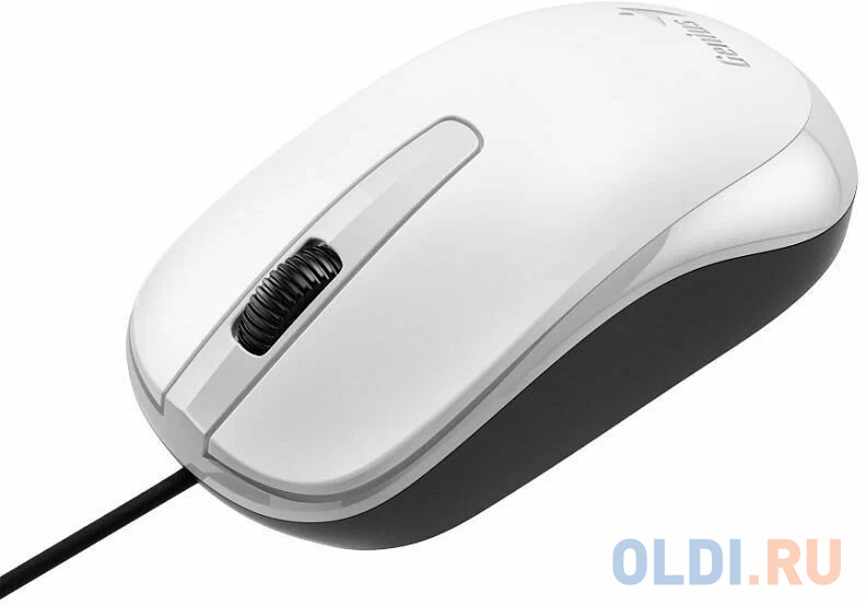 Мышь DX-120, USB, G5, белая (white, optical 1000dpi, подходит под обе руки) new package