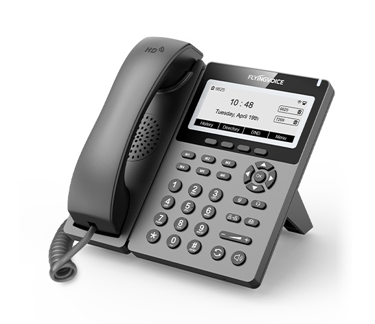 VoIP-телефон FLYINGVOICE P22G, 2 линии, 2 SIP-аккаунта, монохромный дисплей, серый (P22G)
