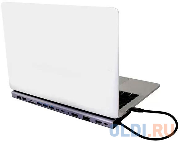 Адаптер TypeC -->3*USB3.0+2*USB2.0+VGA+RJ45+SD+TF+AUD+HDMI+DP+2*USB3.1 Data+PD<CU4703> в Москвe