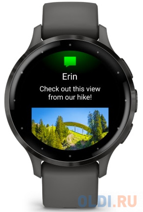 Смарт-часы Garmin Venu 3s серый 41мм