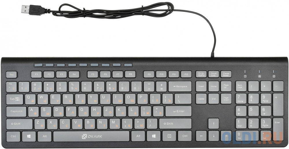Клавиатура проводная Oklick 480M USB черный серый