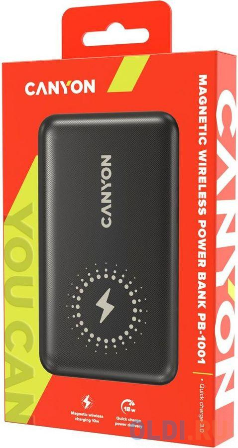 Внешний аккумулятор Power Bank 10000 мАч Canyon CNS-CPB1001B черный в Москвe