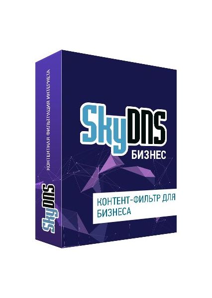 Интернет-фильтр SkyDNS Бизнес 10 лицензий на 1 год [SKY_Bsn_10] (электронный ключ)