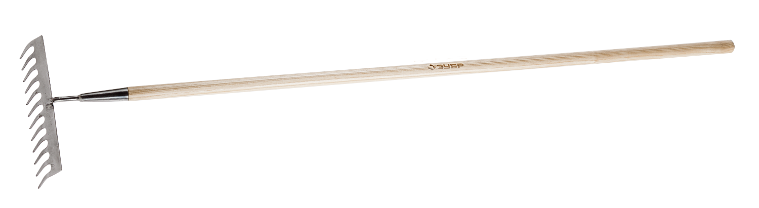 Грабли ЗУБР ЭКСПЕРТ, прямые, 300мм, 12 зубов, с черенком, материал черенка: дерево (ясень высший сорт) (4-39483-12)
