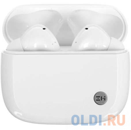 Беспроводные наушники ZMI PurPods Pro Wireless Noise Cancelling Earphone TW100ZM (ZMKTW100GLWH) White (404678) в Москвe