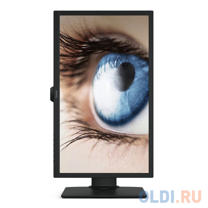 Монитор 24" BENQ BL2483TM черный TN 1920x1080 250 cd/m^2 1 ms DVI DisplayPort VGA в Москвe