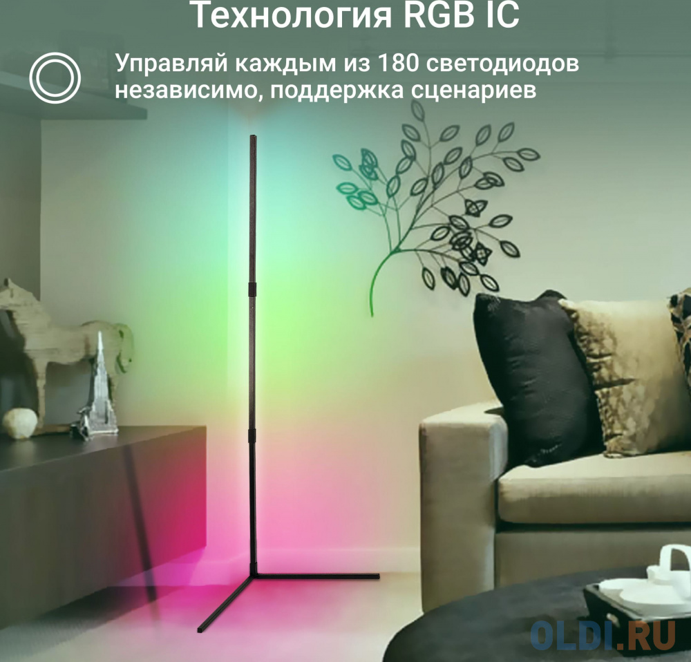 Умный светильник Digma FloorLight FL11 напол. черный (FL11)