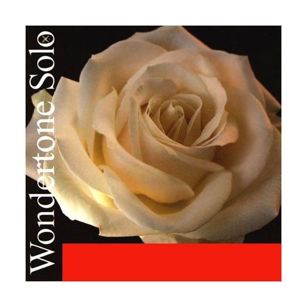 Струны Pirastro 410021 Wondertone Solo для скрипки