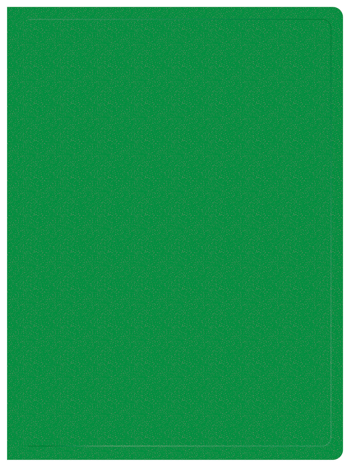 Папка Buro пластик, зеленый (-ECB40GREEN)