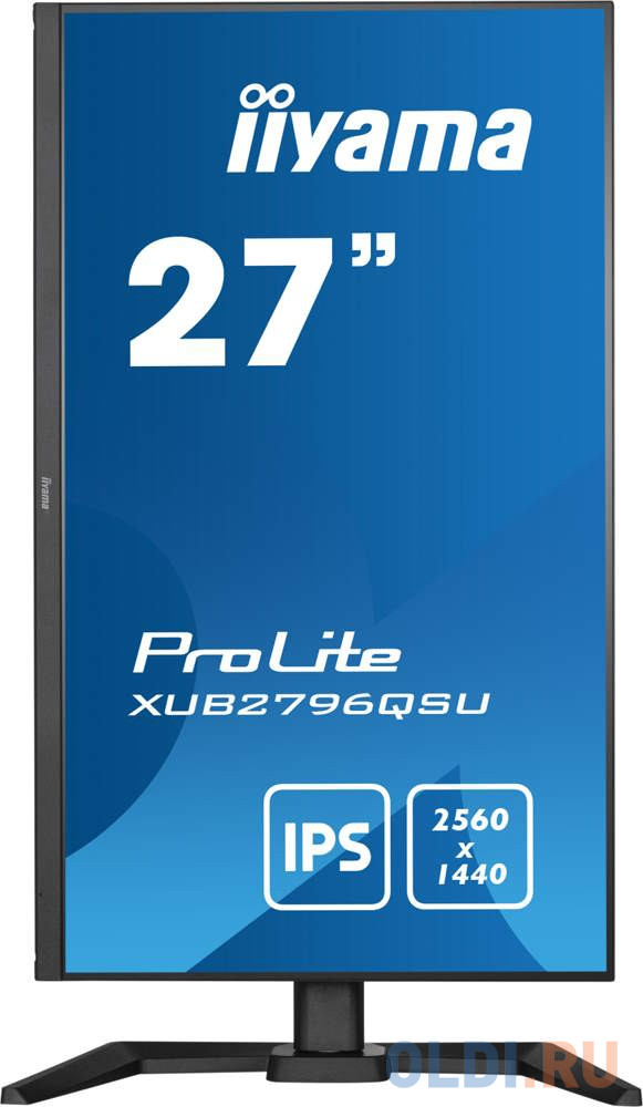 Монитор Iiyama 27" ProLite XUB2796QSU-B5 черный IPS LED 1ms 16:9 HDMI M/M матовая HAS 250cd 178гр/178гр 2560x1440 75Hz DP 2K USB 5.2кг