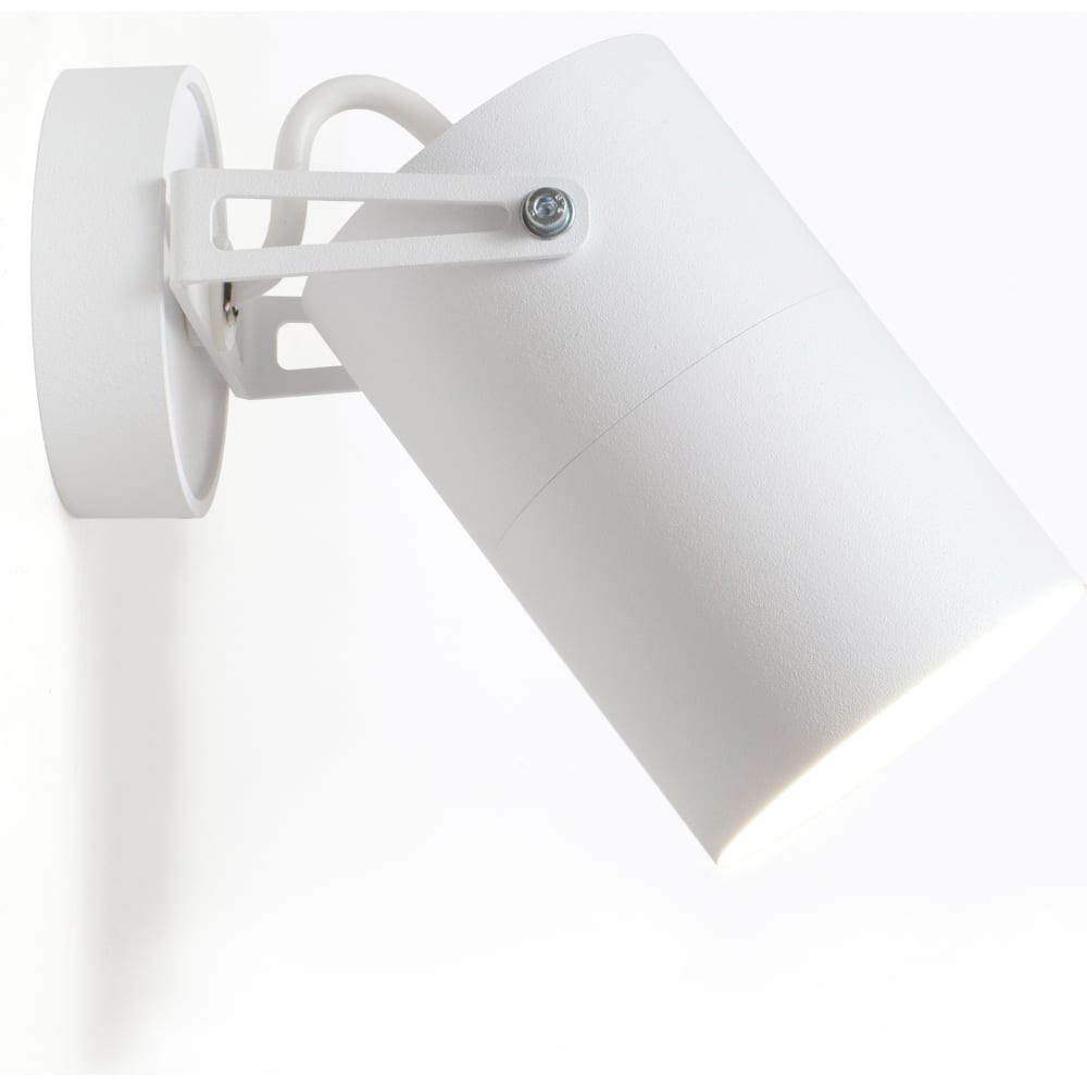 Настенно-потолочный накладной поворотный светильник ООО АлТехно