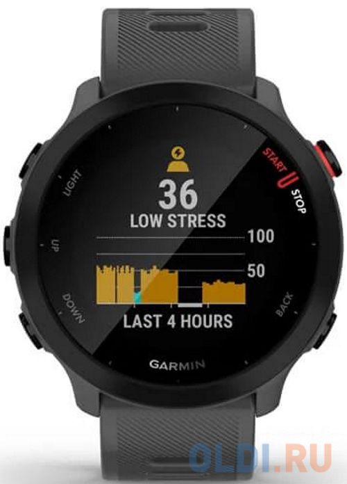 Смарт-часы Garmin Forerunner 55 серый 42мм