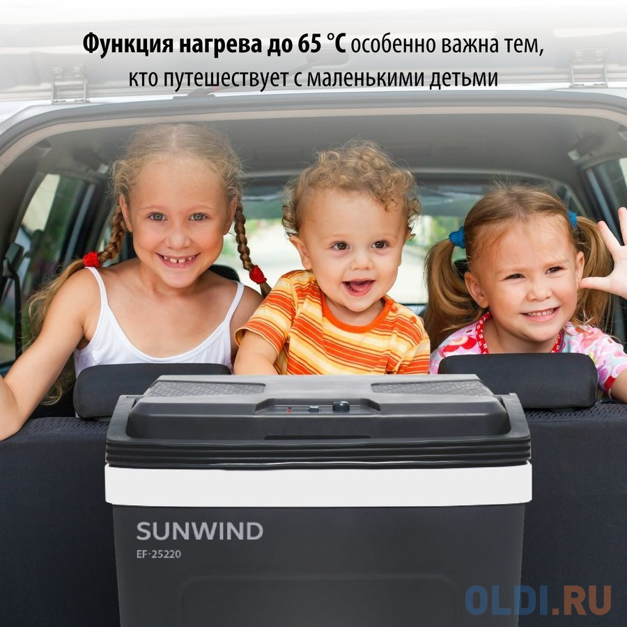 Автохолодильник SunWind EF-25220 25л 60Вт серый/белый