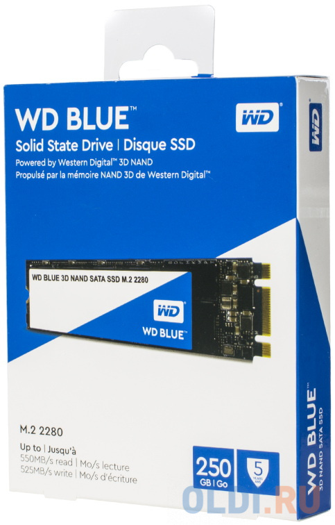 WD SSD Blue SA510, 250GB, M.2(22x80mm), SATA3, R/W 550/525MB/s, IOPs 95 000/81 000, TBW 100, DWPD 0.2 (12 мес.)