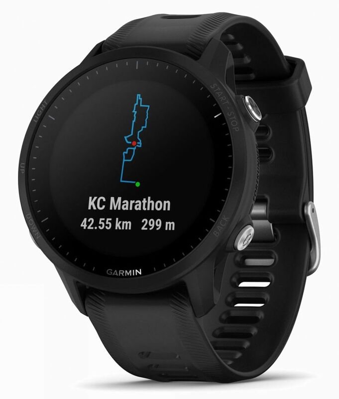 Умные часы Garmin Forerunner 955 Black 010-02638-30