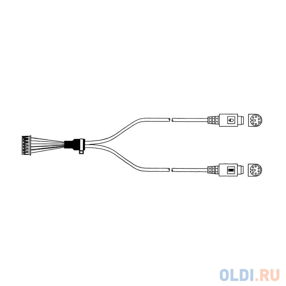 1703060191 Advantech    Кабель A Cable 1*6P-2.0/M-DIN 6P(F)*2 22cm