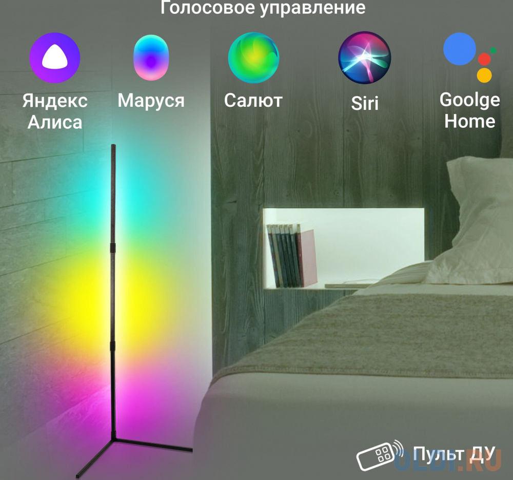 Умный светильник Digma FloorLight FL11 напол. черный (FL11)