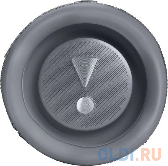 Портативная акустика JBL Flip 6 Gray (JBLFLIP6GRY) в Москвe